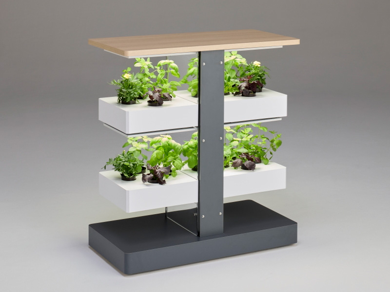 植物栽培ユニット「ココの葉」