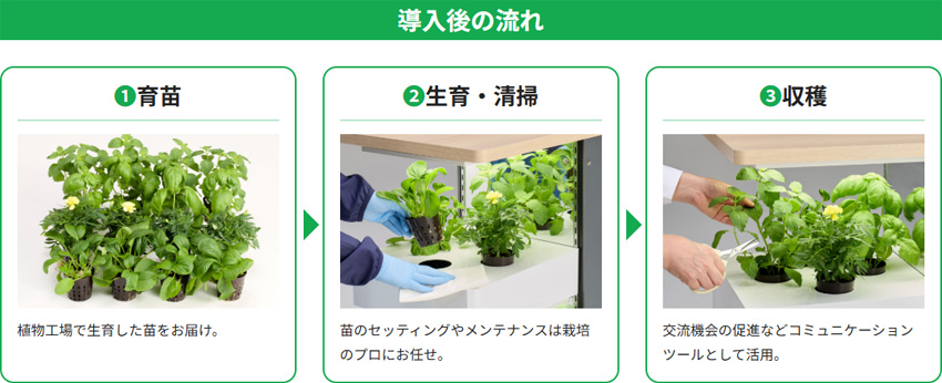 導入後の流れ
