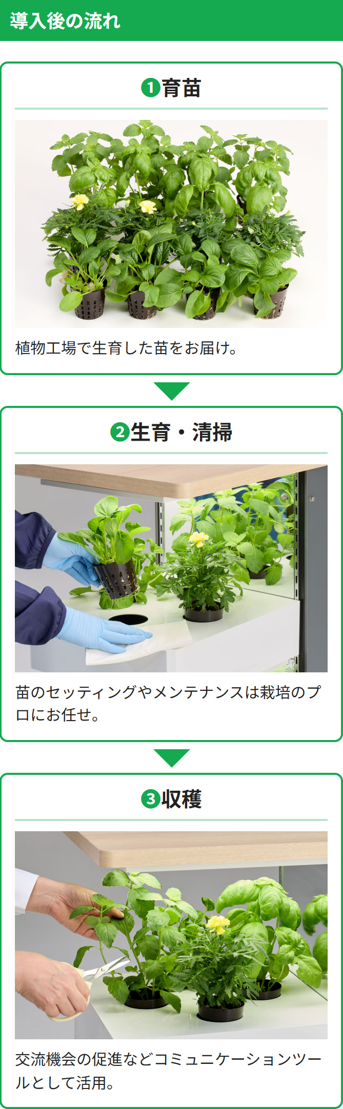 導入後の流れ