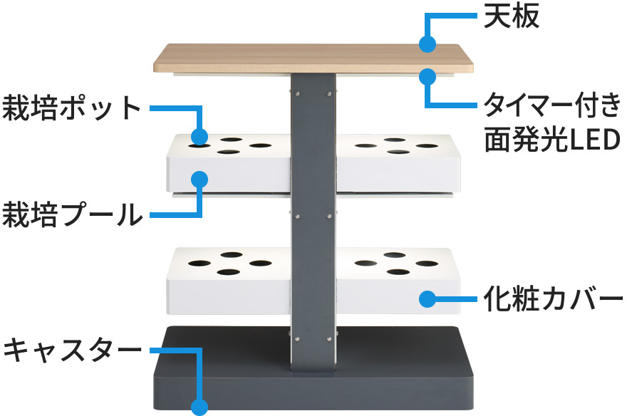 「ココの葉」