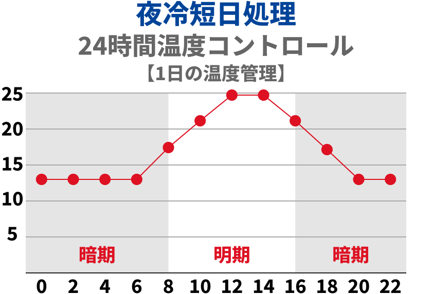夜冷短日処理