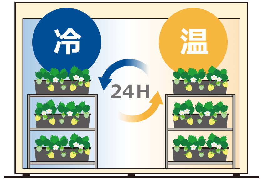 24時間温度コントロール
