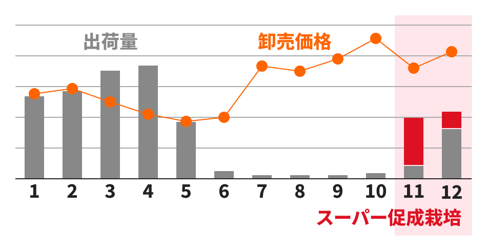 スーパー促成栽培