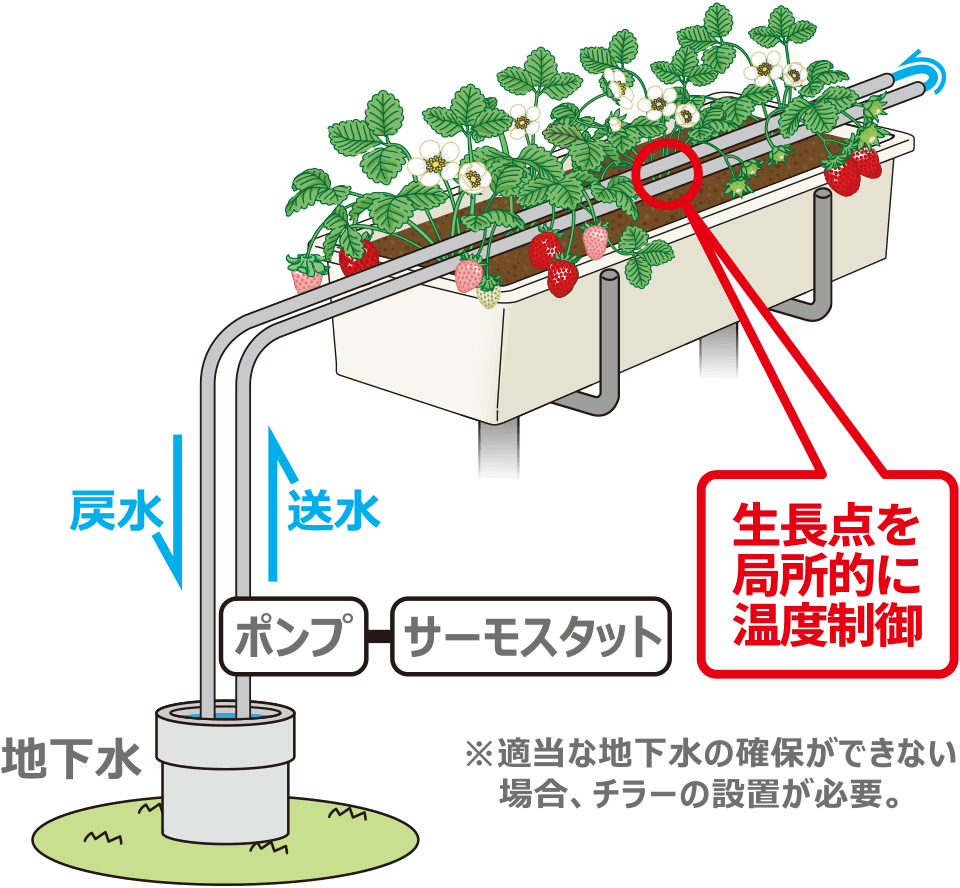生長点を局所的に温度制御