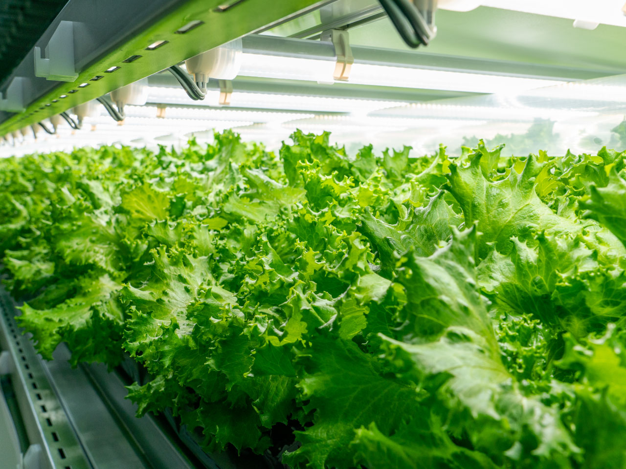 アグリ・エンジニアリング部