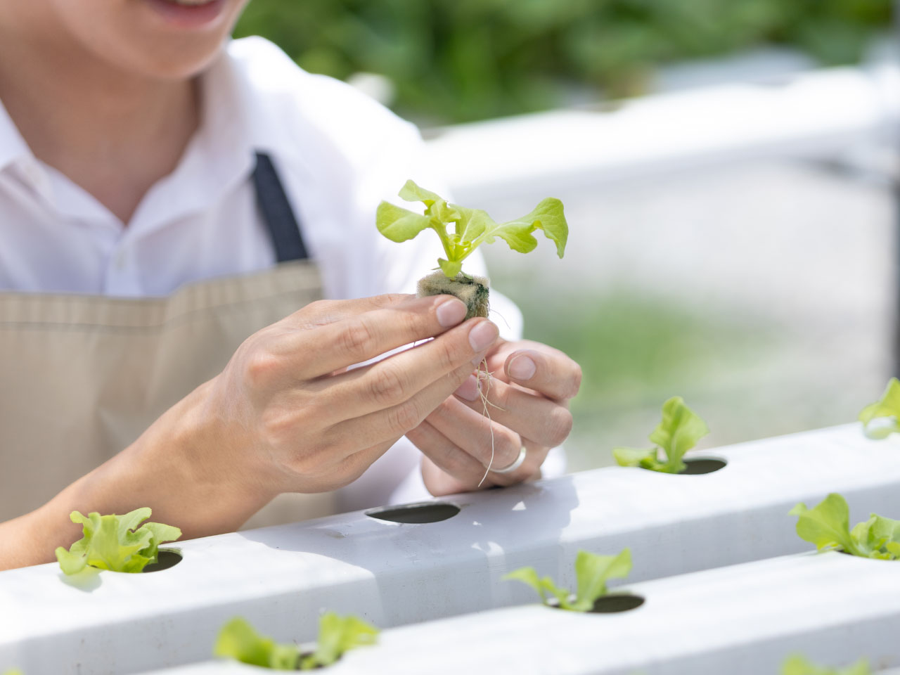 アグリ・エンジニアリング部