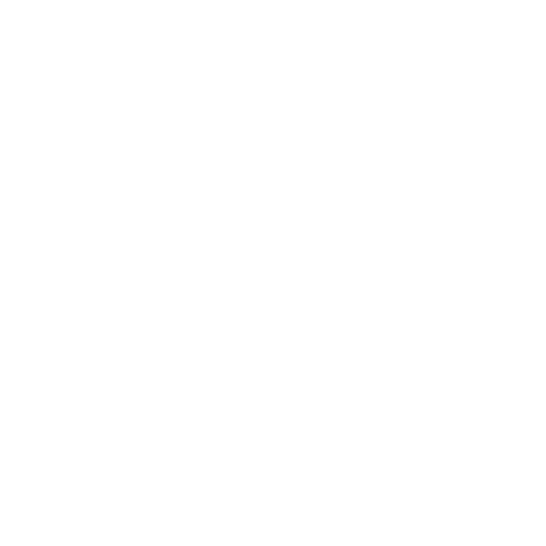 100％