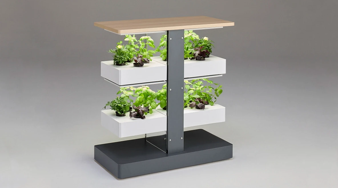 オフィスで育てる植物栽培ユニット「ココの葉」開発ストーリー