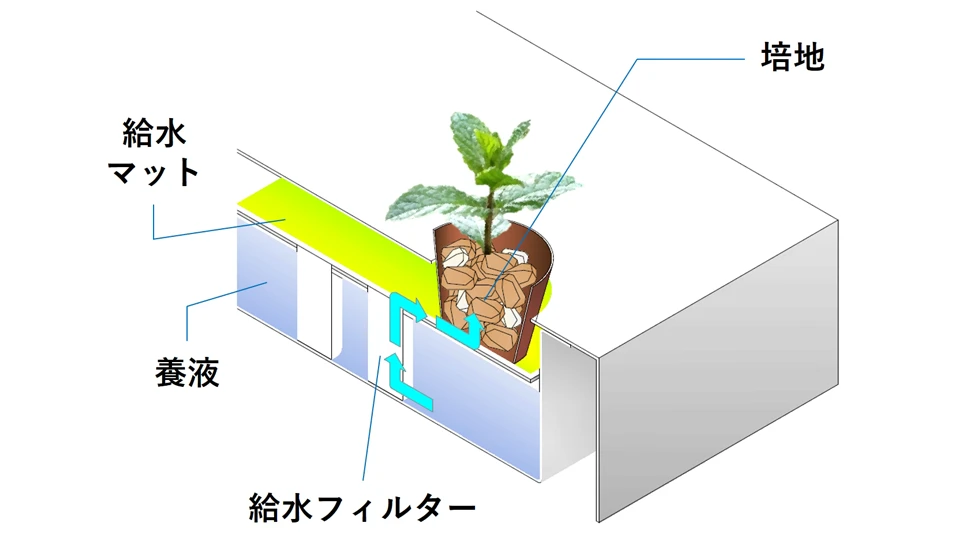 イメージ画像