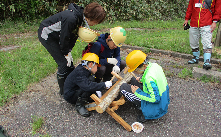しいたけの植菌体験